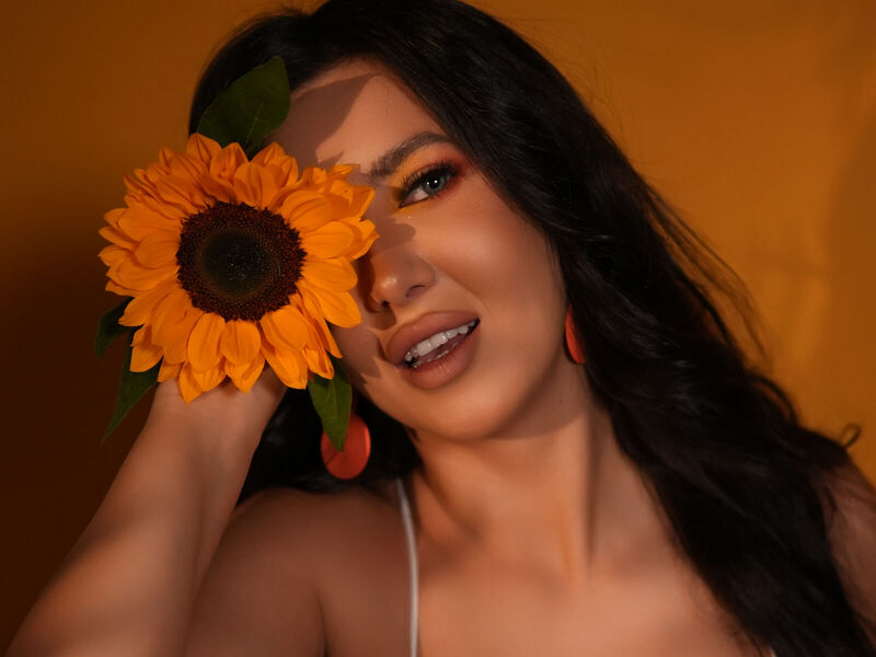 Discovering your path throughout  the website is rather easy, actually considering  the dimensions  of the collecting