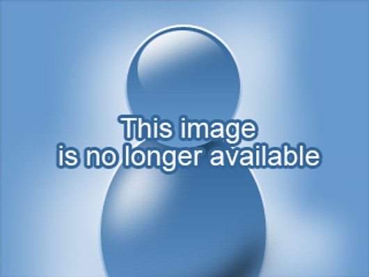 Please consider and sign up with on-line webcam for a good time